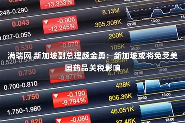 满瑞网 新加坡副总理颜金勇：新加坡或将免受美国药品关税影响