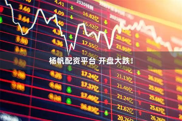 杨帆配资平台 开盘大跌！