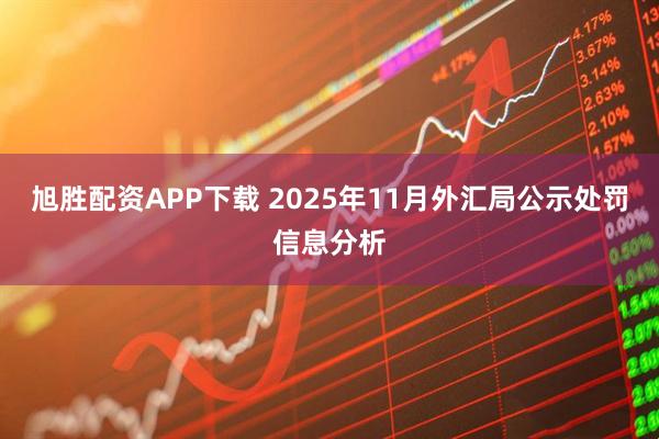 旭胜配资APP下载 2025年11月外汇局公示处罚信息分析