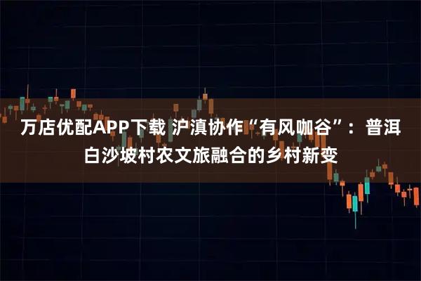 万店优配APP下载 沪滇协作“有风咖谷”:普洱白沙坡村农文旅融合的乡村新变
